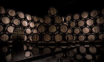 brown wooden wine barrel lot wine aging